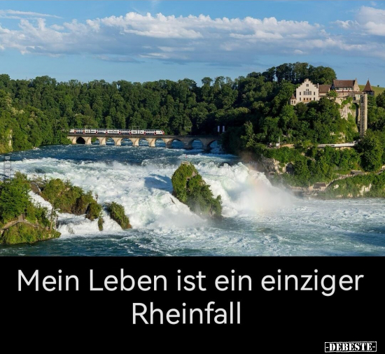 Mein Leben ist ein einziger Rheinfall.. - Lustige Bilder | DEBESTE.de