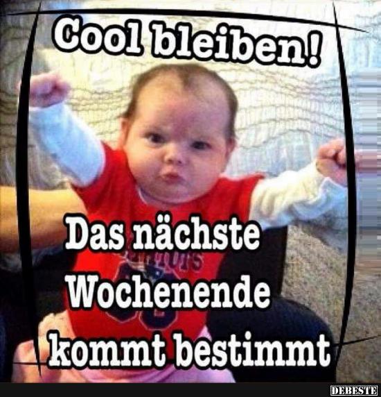 Cool bleiben!! - Lustige Bilder | DEBESTE.de