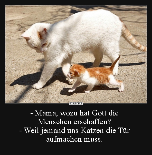 Mama, wozu hat Gott die Menschen erschaffen?