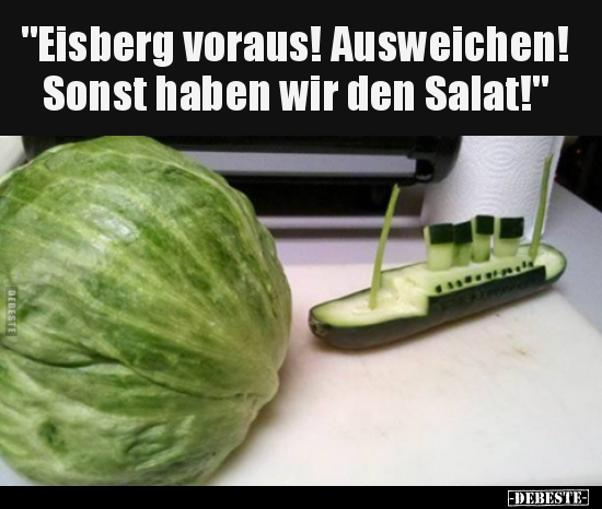 "Eisberg voraus! Ausweichen! Sonst haben wir den.."