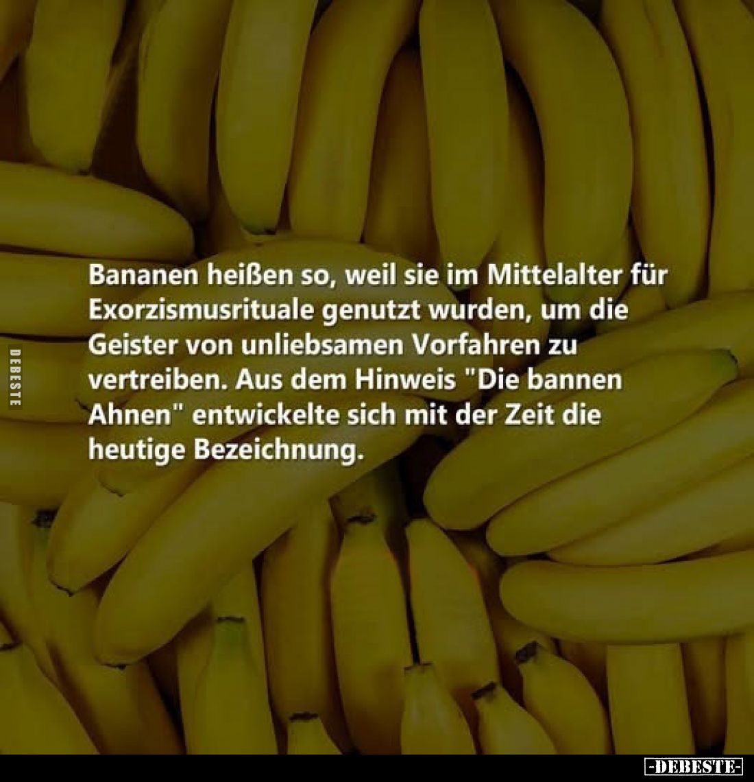 Bananen heißen so, weil sie im Mittelalter für Exorzismusrituale genutzt wurden, um die Geister von unliebsamen Vorfahren zu ...