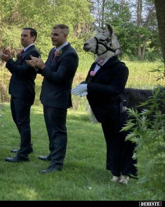  - Lustige Bilder | DEBESTE.de