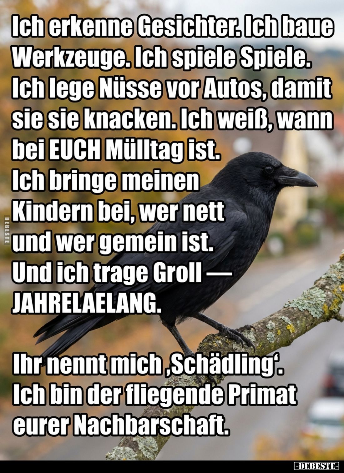 Ich erkenne Gesichter.
Ich baue Werkzeuge.
Ich spiele Spiele.
Ich lege Nüsse vor Autos, damit sie sie knacken.
Ich weiß, ...