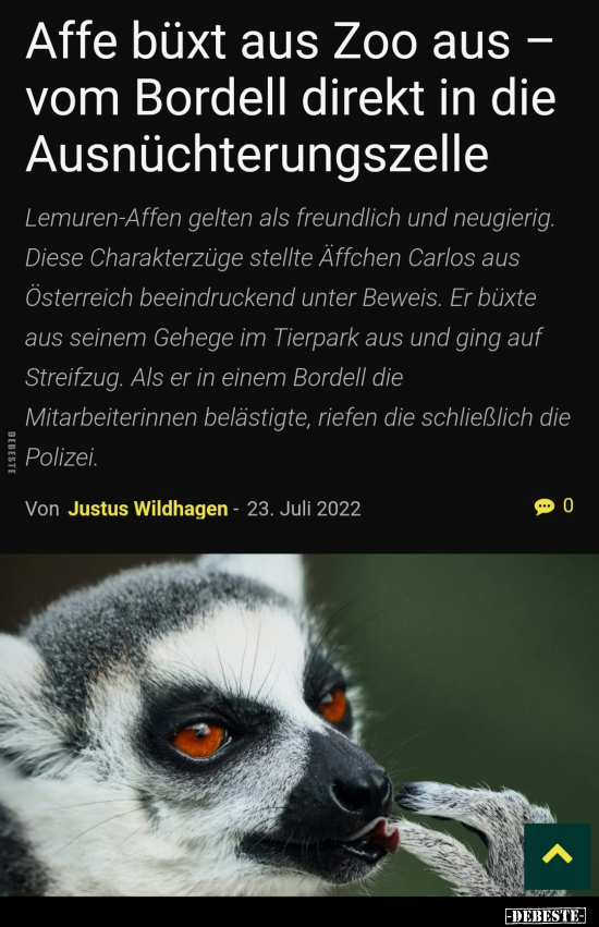 Affe büxt aus Zoo aus - vom Bordell direkt in die.. - Lustige Bilder | DEBESTE.de