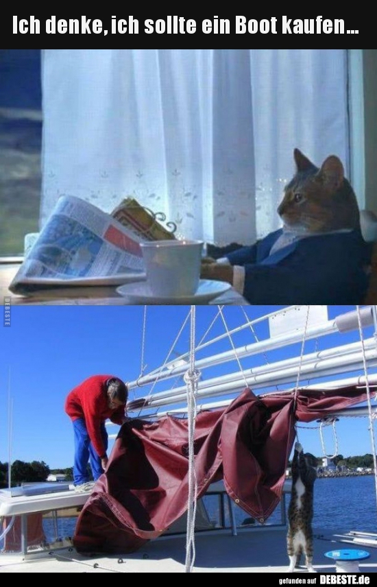 Ich denke, ich sollte ein Boot kaufen...
