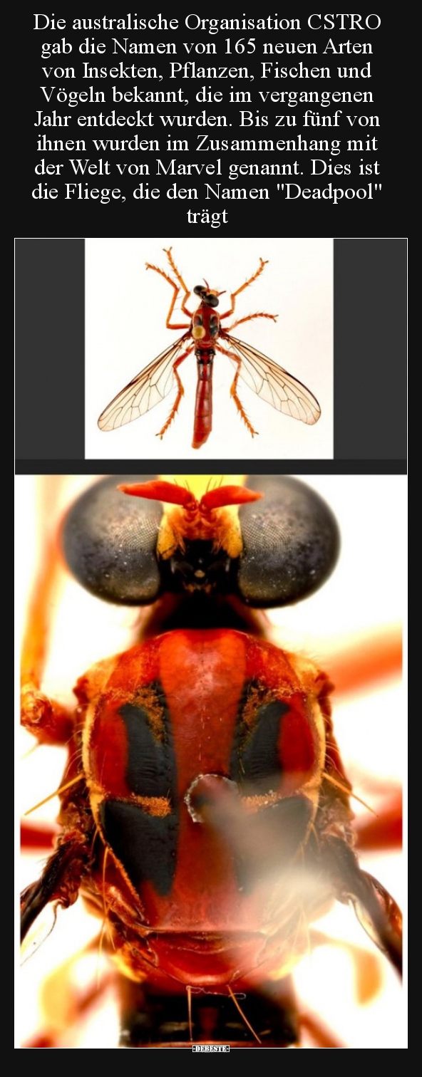 Die australische Organisation CSTRO gab die Namen von...