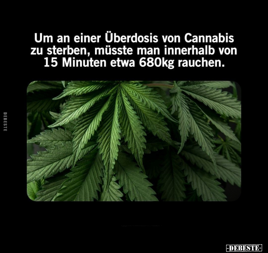 Um an einer Überdosis von Cannabis zu sterben, müsste man.. - Lustige Bilder | DEBESTE.de