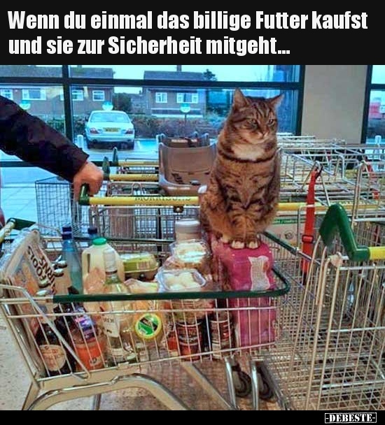 Wenn du einmal das billige Futter kaufst und sie zur.. - Lustige Bilder | DEBESTE.de