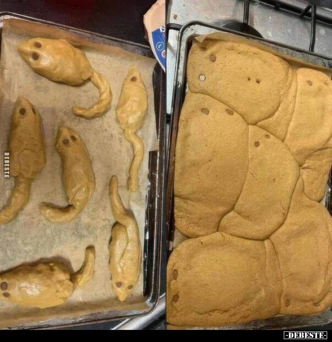  - Lustige Bilder | DEBESTE.de