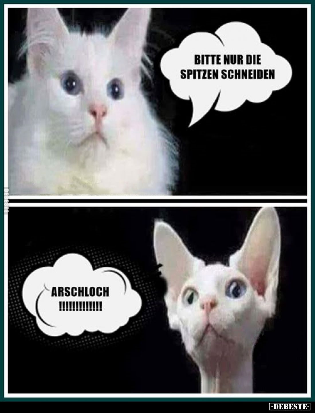 Bitte nur die Spitzen schneiden
-
Arschloch !!!!!!!!!!