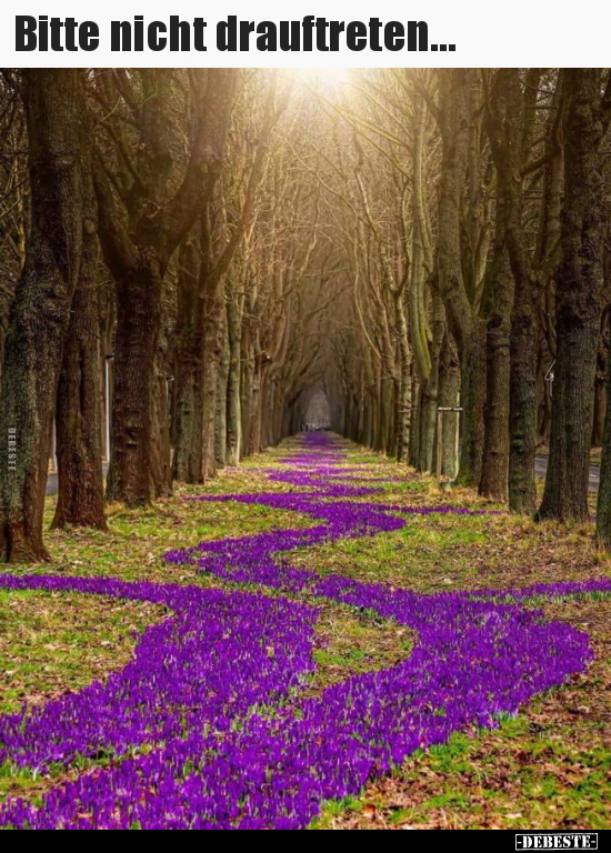 Bitte nicht drauftreten...