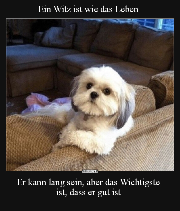 Ein Witz ist wie das Leben.. - Lustige Bilder | DEBESTE.de