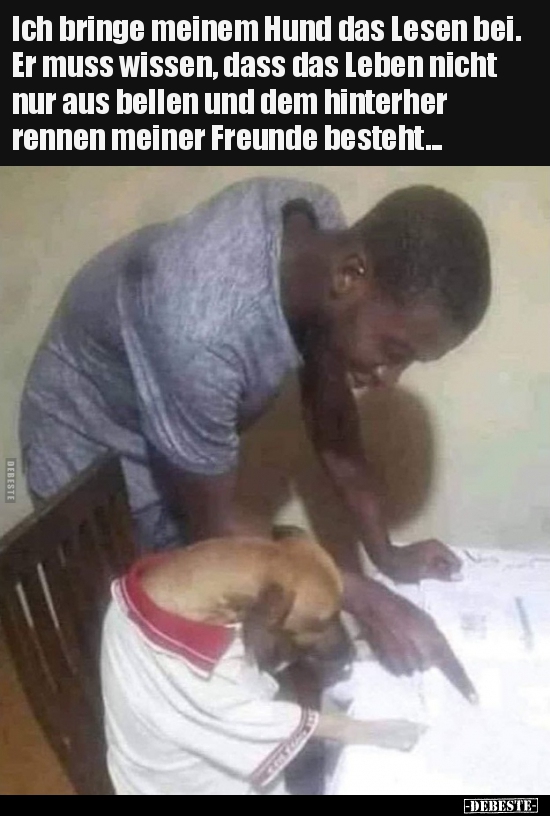 Ich bringe meinem Hund das Lesen bei. Er muss wissen, dass..