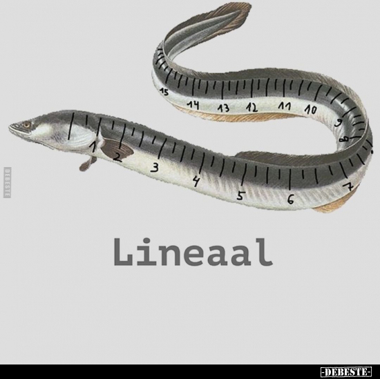 Lineaal