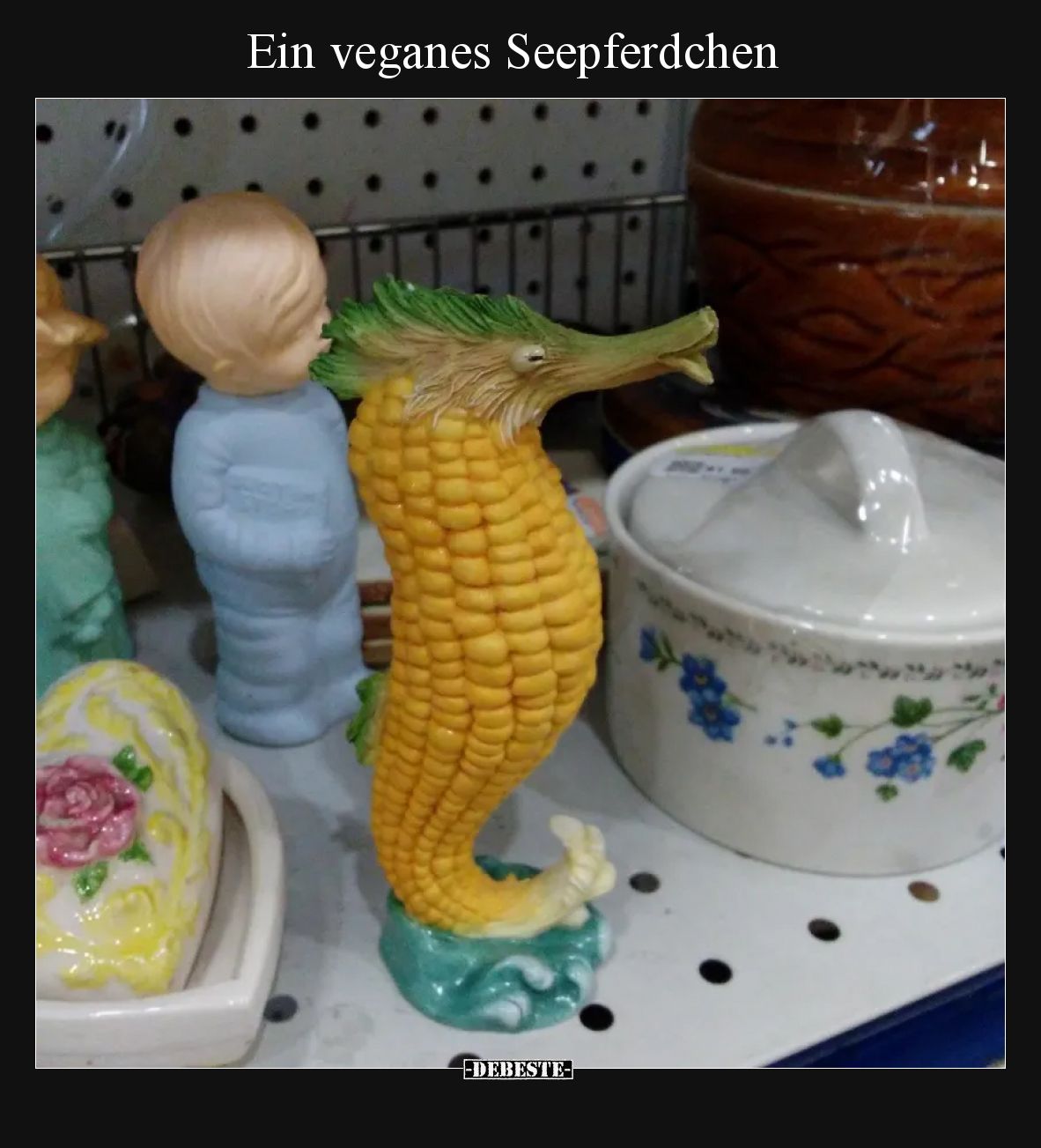 Ein veganes Seepferdchen.. - Lustige Bilder | DEBESTE.de