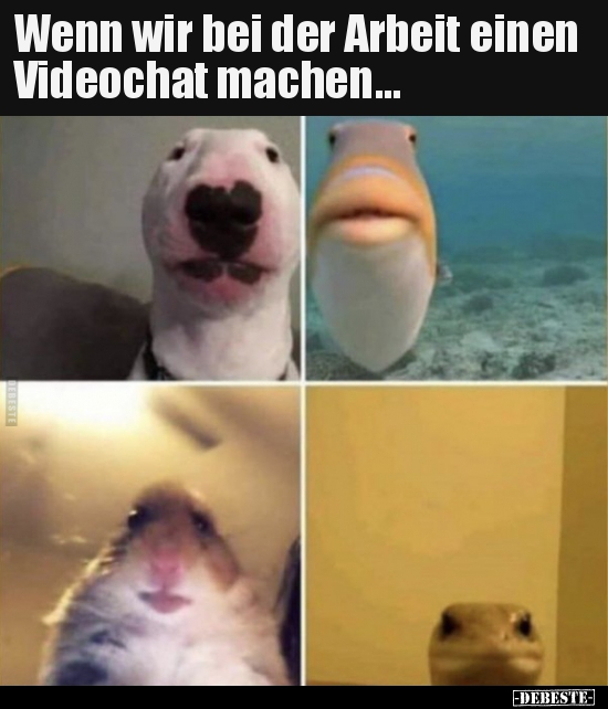 Wenn wir bei der Arbeit einen Videochat machen... - Lustige Bilder | DEBESTE.de