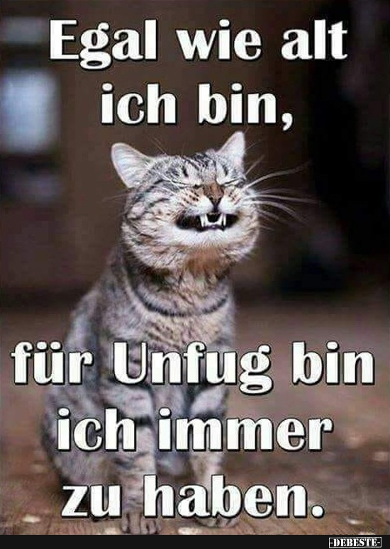 Egal wie alt ich bin, für Unfug bin ich immer zu haben.