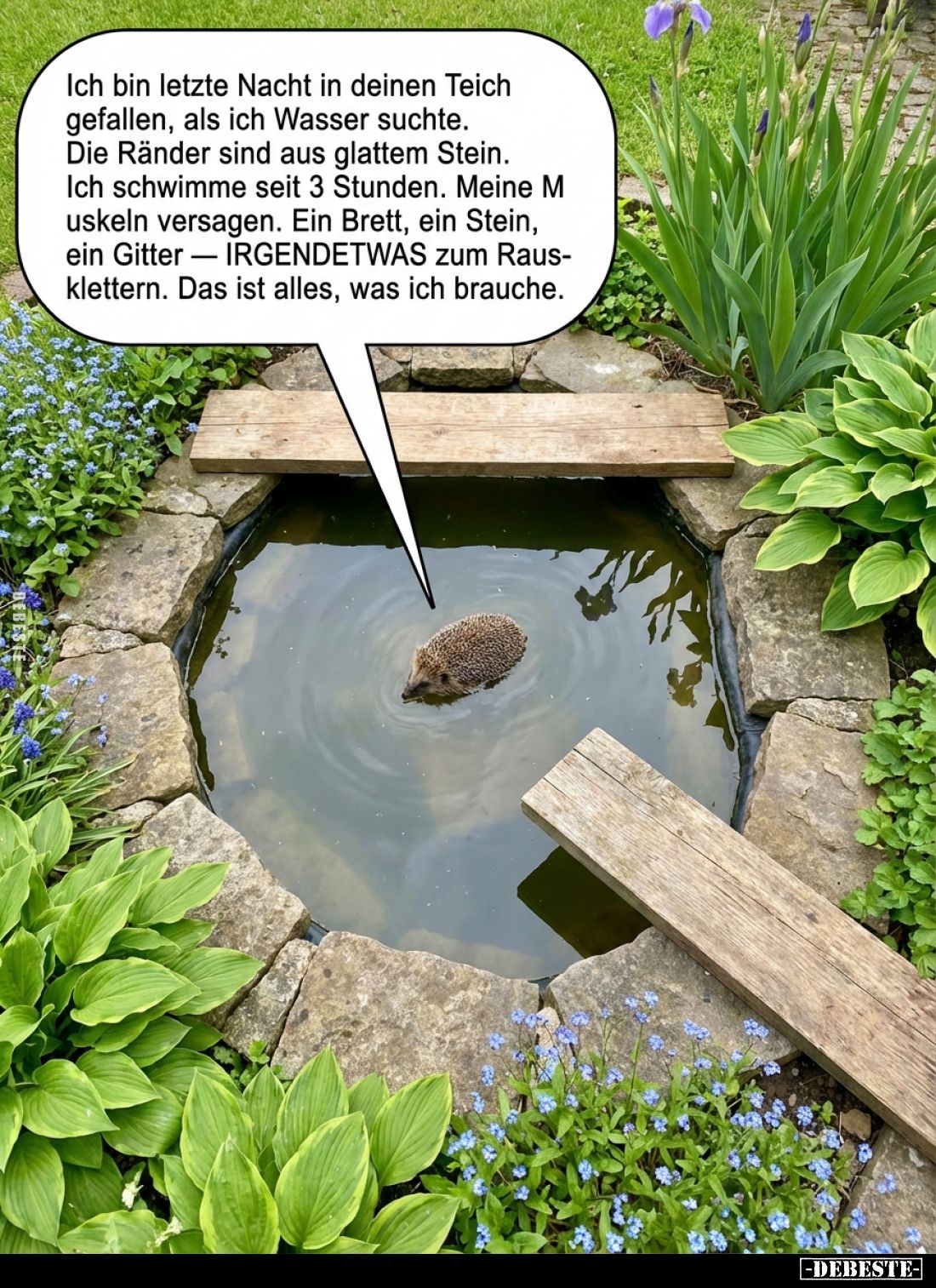 Ich bin letzte Nacht in deinen Teich gefallen, als ich Wasser suchte.
Die Ränder sind aus glattem Stein. Ich schwimme seit 3...