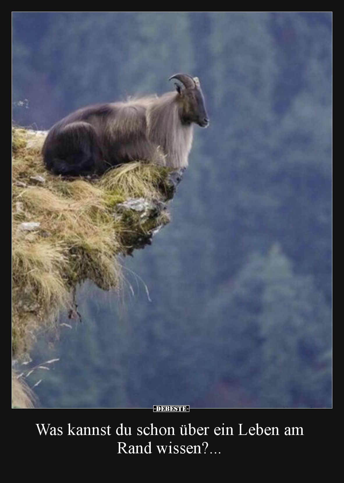 Was kannst du schon über ein Leben am Rand wissen?