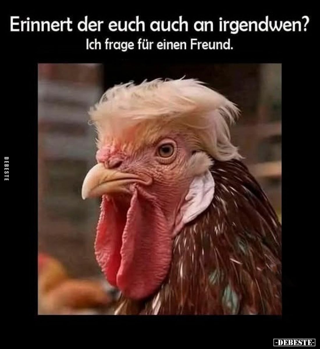 Erinnert der euch auch an irgendwen?
Ich frage für einen Freund.