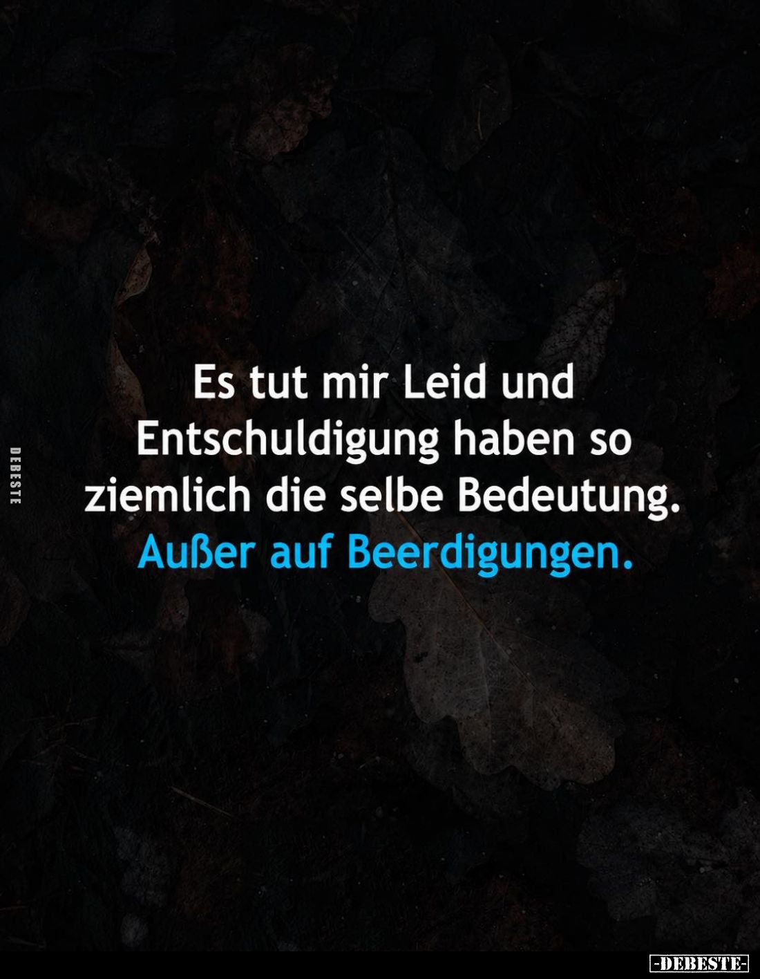Es tut mir Leid und Entschuldigung haben so ziemlich die selbe Bedeutung.
Außer auf Beerdigungen.