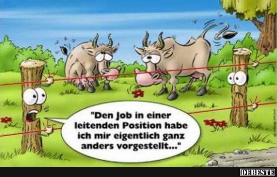 Den Job in einer leitenden Position habe ich mir..