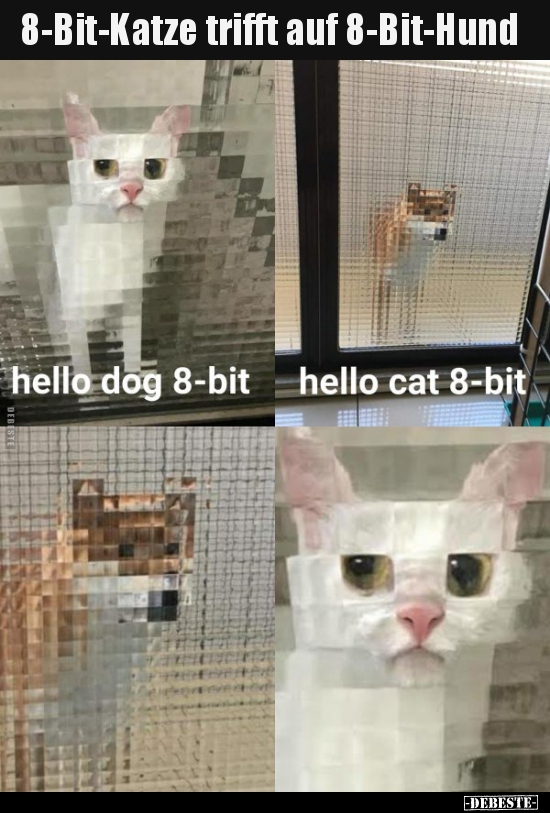 8-Bit-Katze trifft auf 8-Bit-Hund..