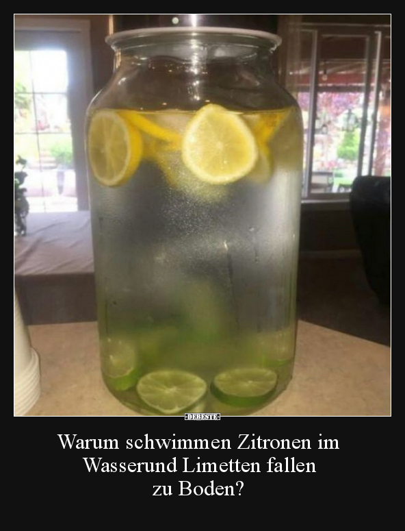 Warum schwimmen Zitronen im Wasserund Limetten fallen zu.. - Lustige Bilder | DEBESTE.de