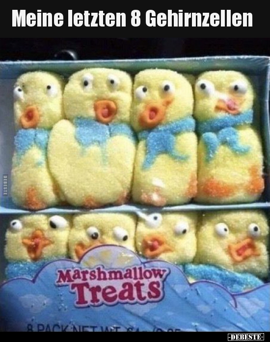 Meine letzten 8 Gehirnzellen..