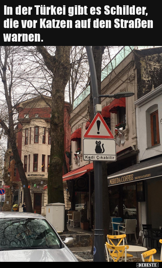 In der Türkei gibt es Schilder, die vor Katzen auf den.. - Lustige Bilder | DEBESTE.de