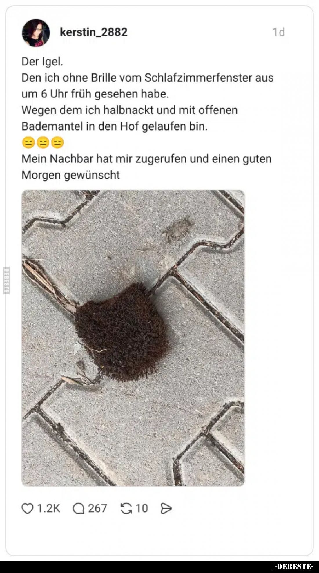 Der Igel.

Den ich ohne Brille vom Schlafzimmerfenster aus um 6 Uhr früh gesehen habe.

Wegen dem ich halbnackt und mit o...