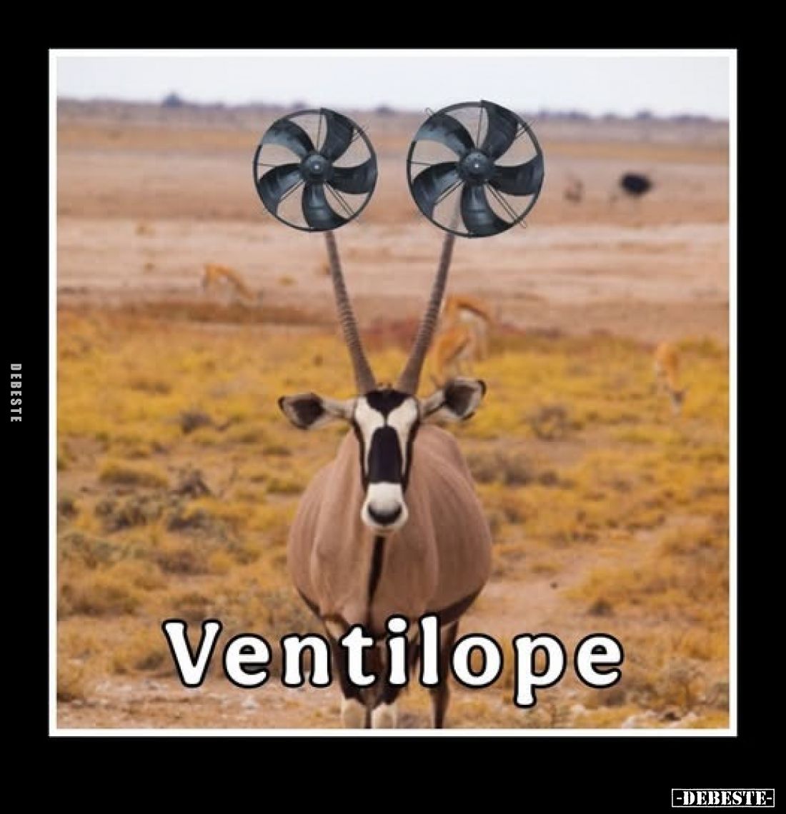 Ventilope.