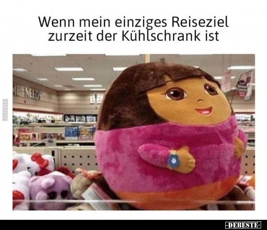 Wenn mein einziges Reiseziel zurzeit der Kühlschrank.. - Lustige Bilder | DEBESTE.de