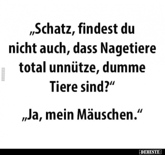 "Schatz, findest du nicht auch, dass Nagetiere total.." - Lustige Bilder | DEBESTE.de