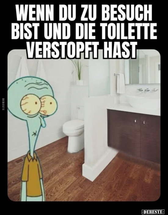 Wenn du zu Besuch bist und die Toilette verstopft hast.. - Lustige Bilder | DEBESTE.de