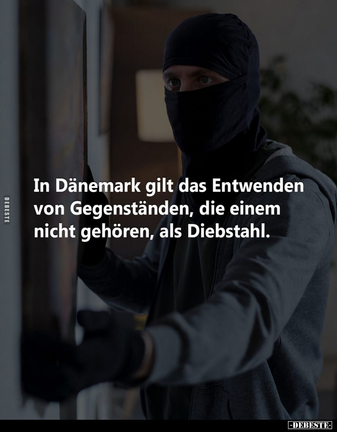 In Dänemark gilt das Entwenden von Gegenständen.. - Lustige Bilder | DEBESTE.de