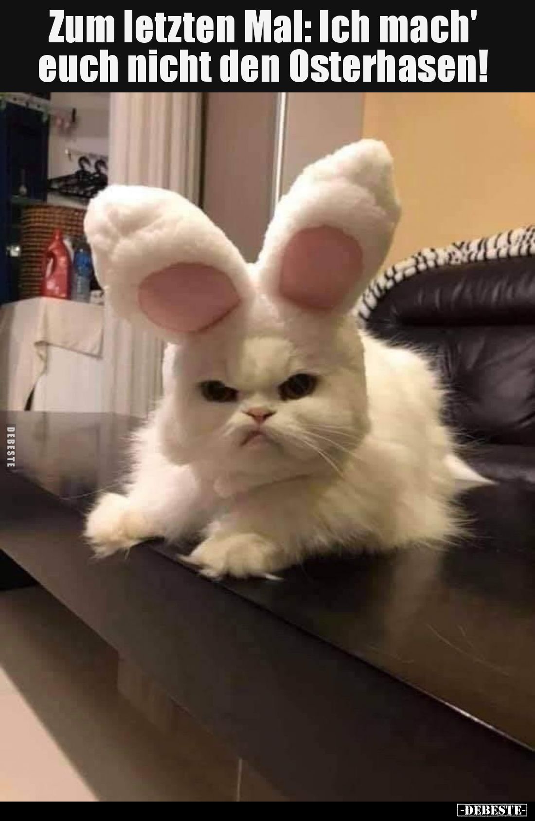 Zum letzten Mal:
Ich mach' euch nicht den Osterhasen!