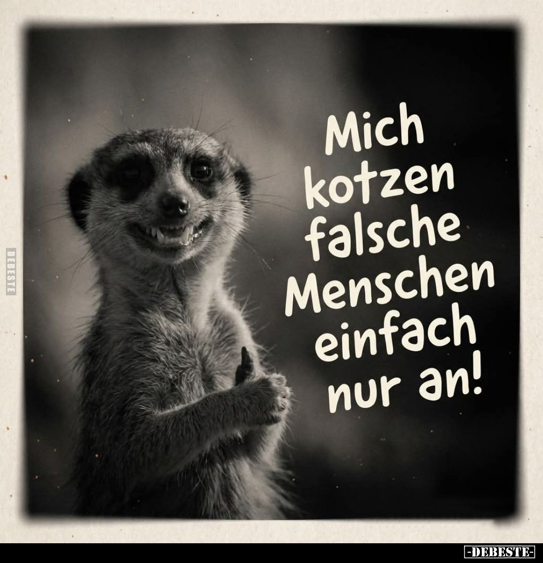 Mich kotzen falsche Menschen einfach nur an!.. - Lustige Bilder | DEBESTE.de