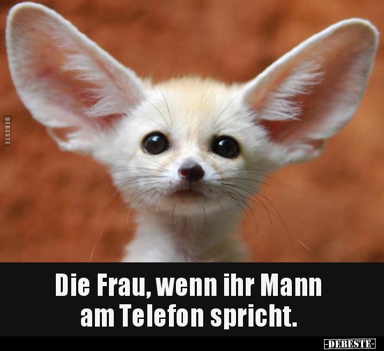 Die Frau, wenn ihr Mann am Telefon spricht...