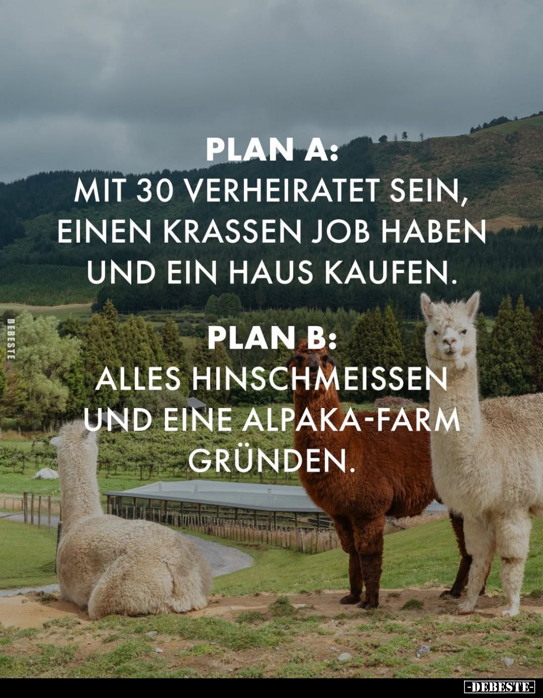 Plan A:
Mit 30 verheiratet sein, einen krassen Job haben und ein Haus kaufen.
Plan B:
Alles hinschmeissen und eine Alpaka-...