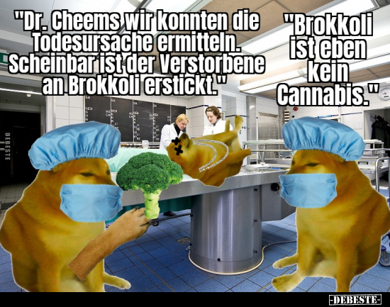 "Dr. Cheems wir konnten die Todesursache ermitteln..." - Lustige Bilder | DEBESTE.de