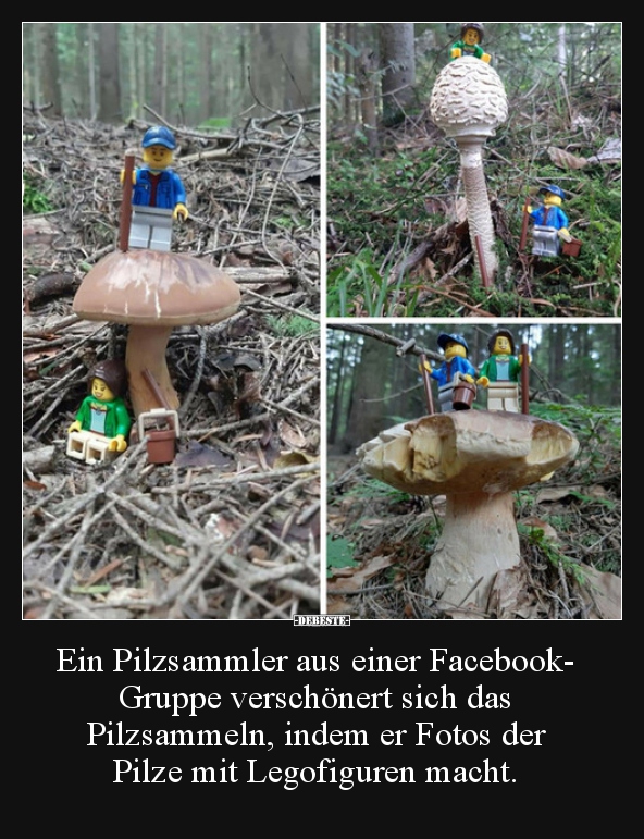 Ein Pilzsammler aus einer Facebook-Gruppe verschönert.. - Lustige Bilder | DEBESTE.de