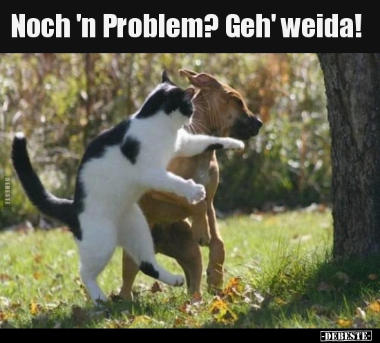Noch 'n Problem? Geh' weida!..