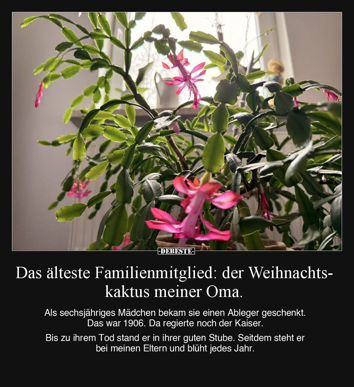 Das älteste Familienmitglied.. - Lustige Bilder | DEBESTE.de