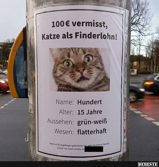 100 Euro vermisst, Katze als Finderlohn.. - Lustige Bilder | DEBESTE.de