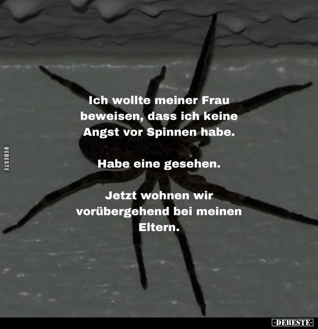 Ich wollte meiner Frau beweisen, dass ich keine Angst vor Spinnen habe.
Habe eine gesehen.
Jetzt wohnen wir vorübergehend b...