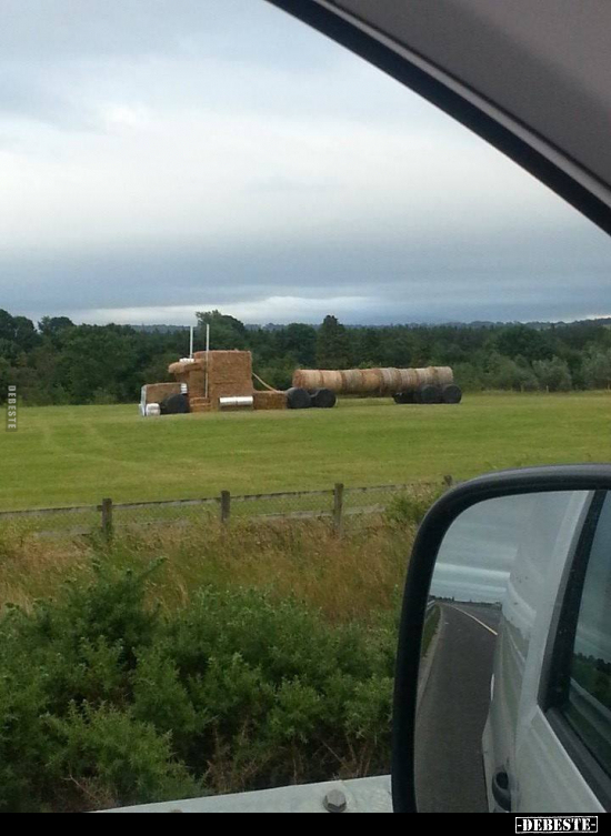  - Lustige Bilder | DEBESTE.de