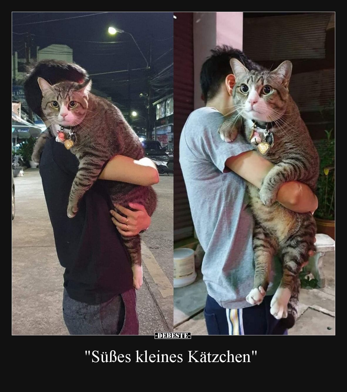"Süßes kleines Kätzchen".. - Lustige Bilder | DEBESTE.de