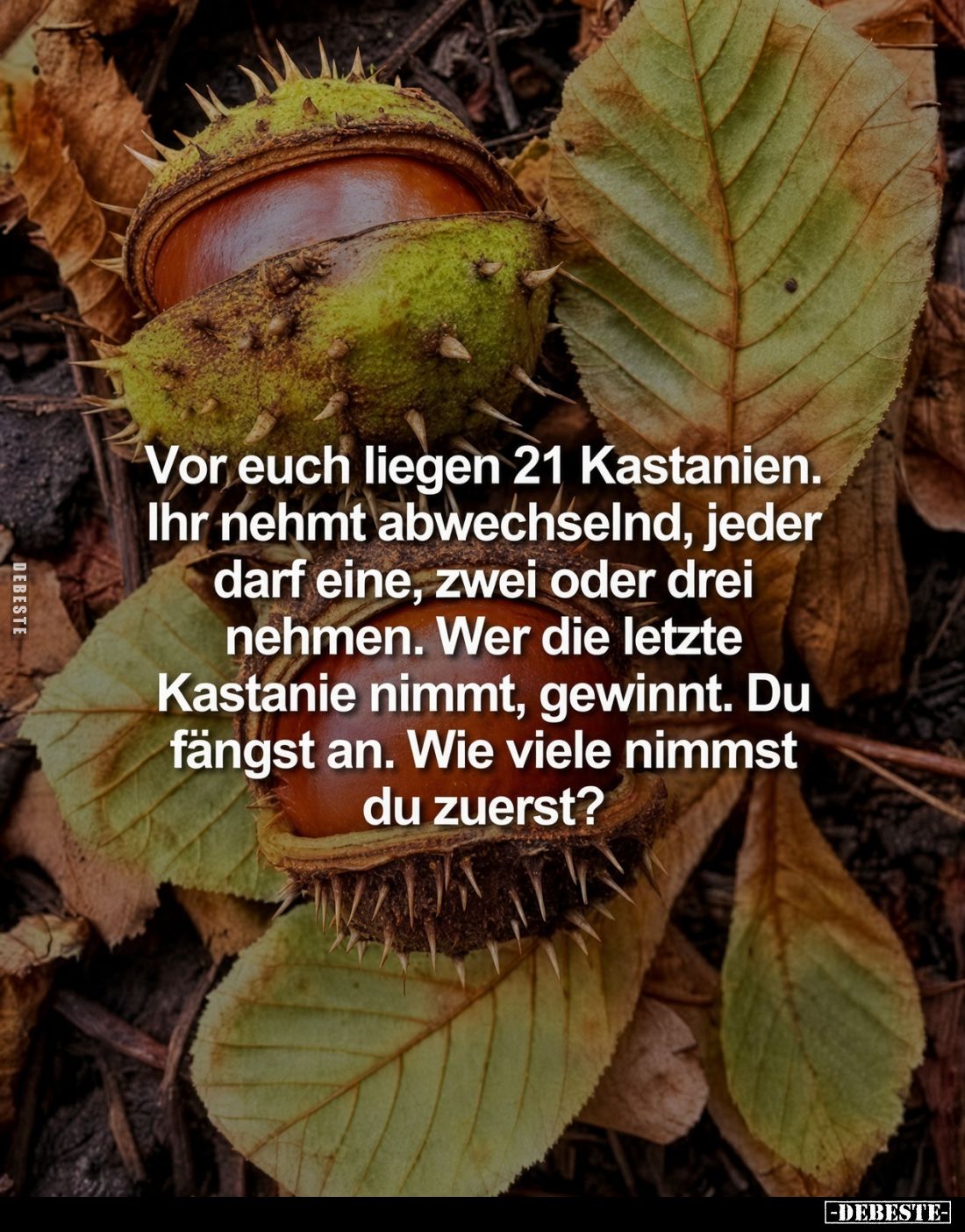 Vor euch liegen 21 Kastanien.
Ihr nehmt abwechselnd, jeder darf eine, zwei oder drei nehmen.
Wer die letzte Kastanie nimmt,...