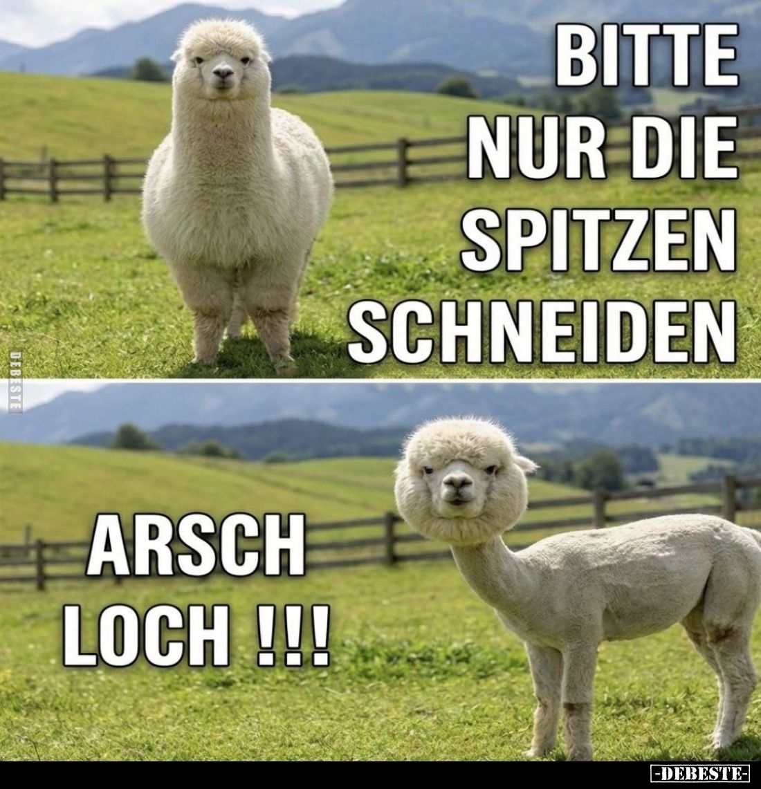 Bitte nur die Spitzen schneiden.
-
Arsch Loch!!!